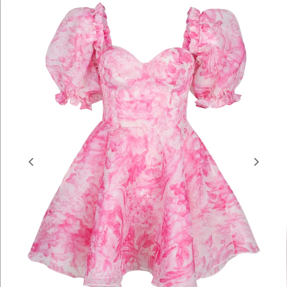 Selkie The Babydoll Toile Parliament Dress M